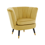 Chrishell Pistachio Velvet Chair